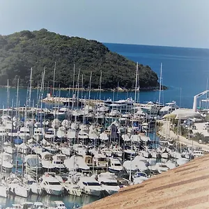 Papilon , Vrsar Chorvatsko